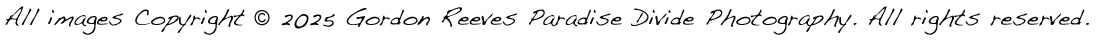 Copyright